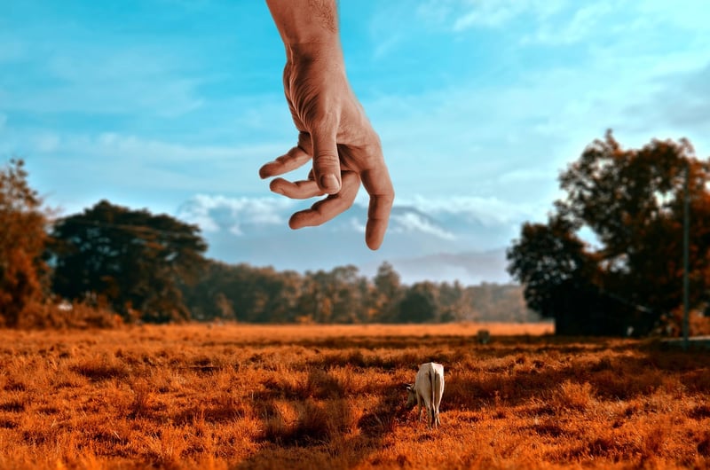 Tiny fantasy realms